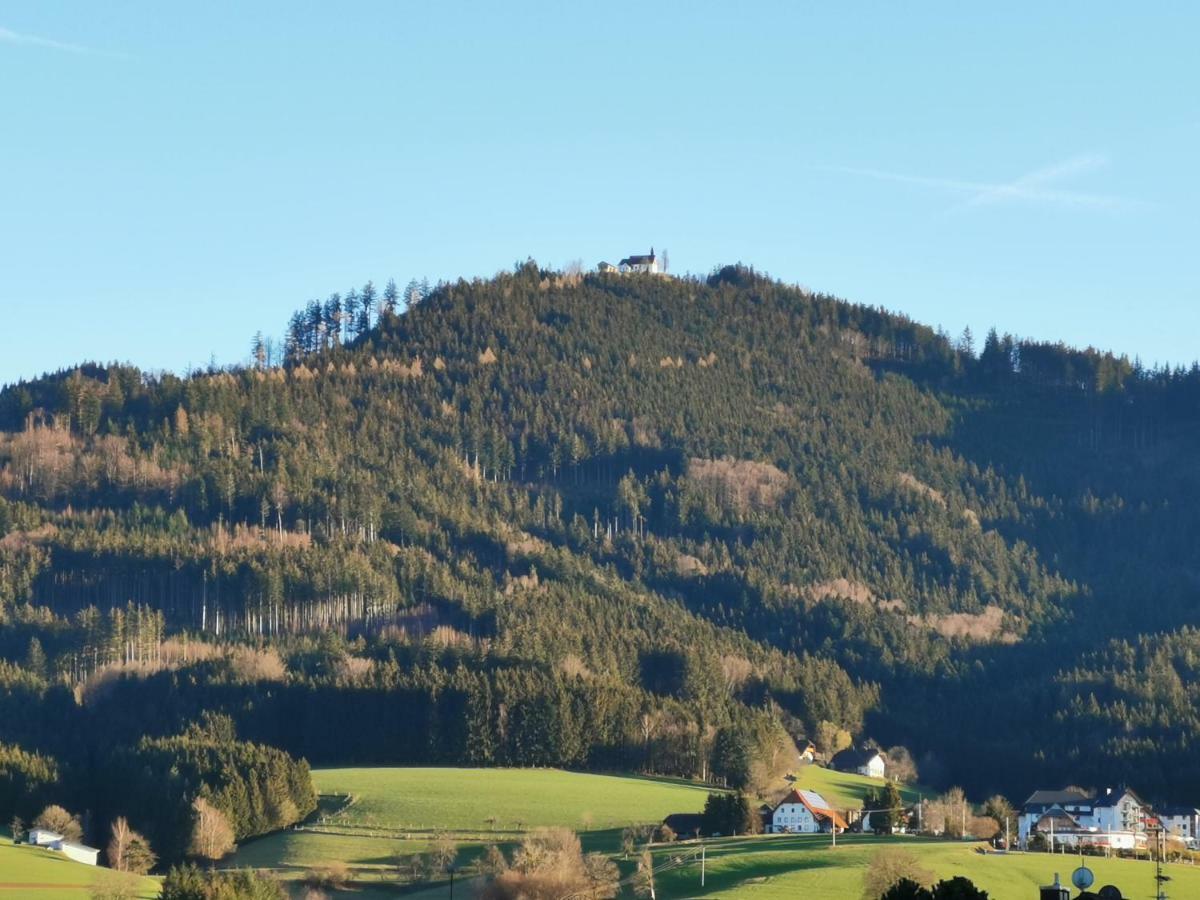 Modernes Appartement Schwarzwald Naehe Freiburg Вінден-ім-Ельцталь Екстер'єр фото