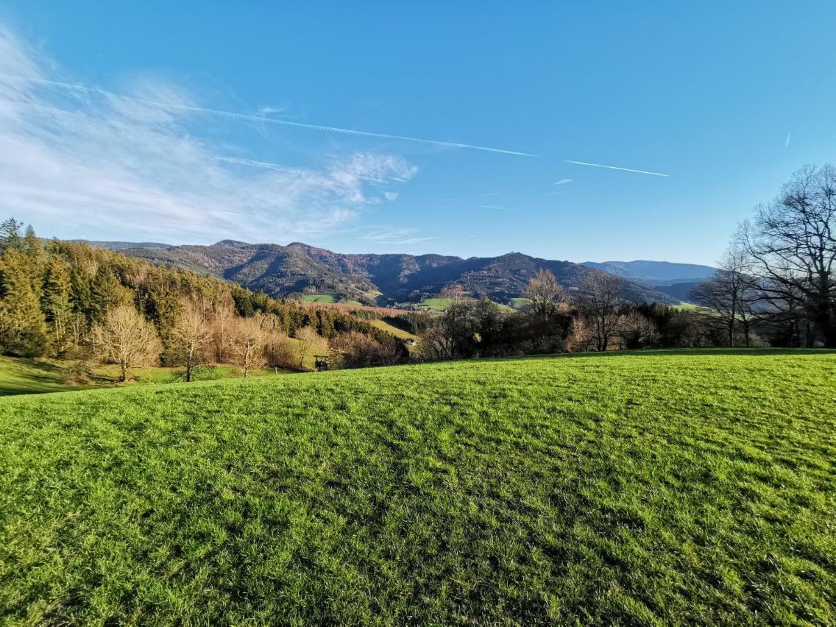 Modernes Appartement Schwarzwald Naehe Freiburg Вінден-ім-Ельцталь Екстер'єр фото