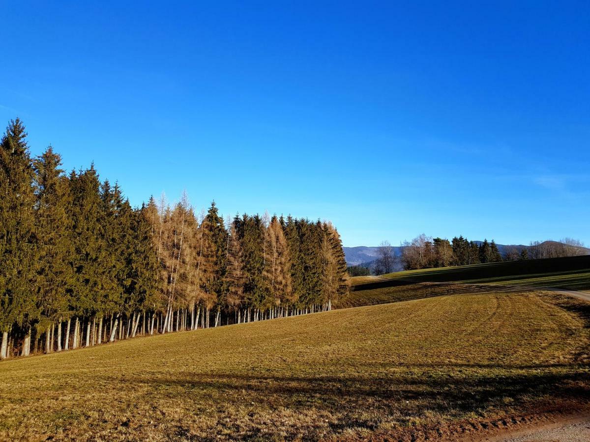 Modernes Appartement Schwarzwald Naehe Freiburg Вінден-ім-Ельцталь Екстер'єр фото