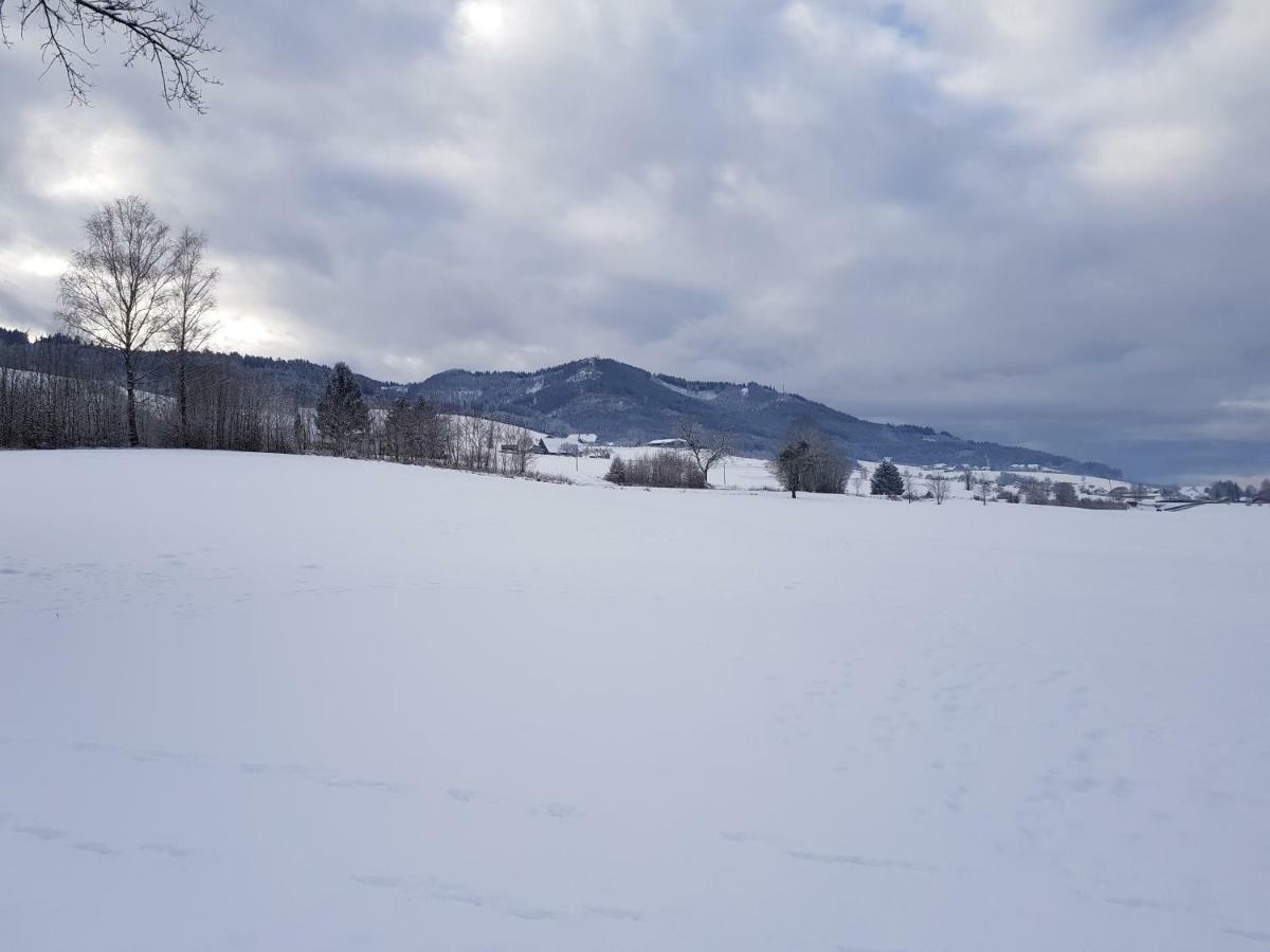 Modernes Appartement Schwarzwald Naehe Freiburg Вінден-ім-Ельцталь Екстер'єр фото