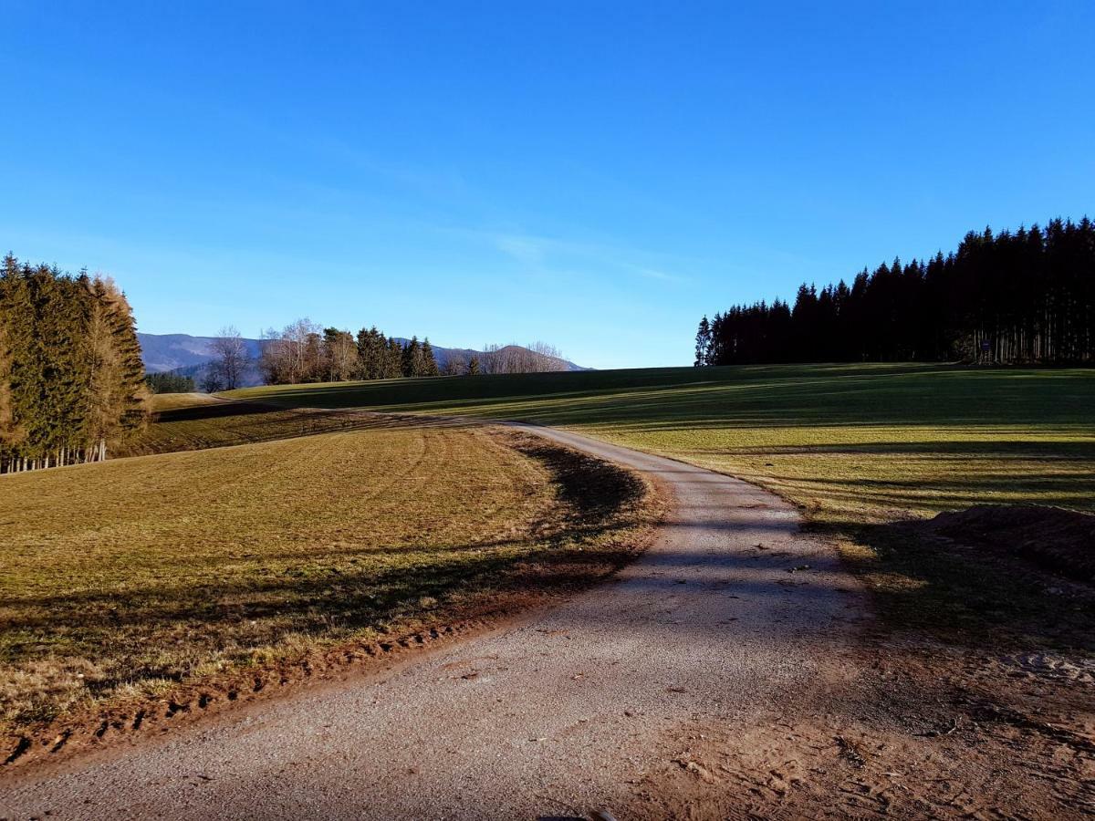 Modernes Appartement Schwarzwald Naehe Freiburg Вінден-ім-Ельцталь Екстер'єр фото