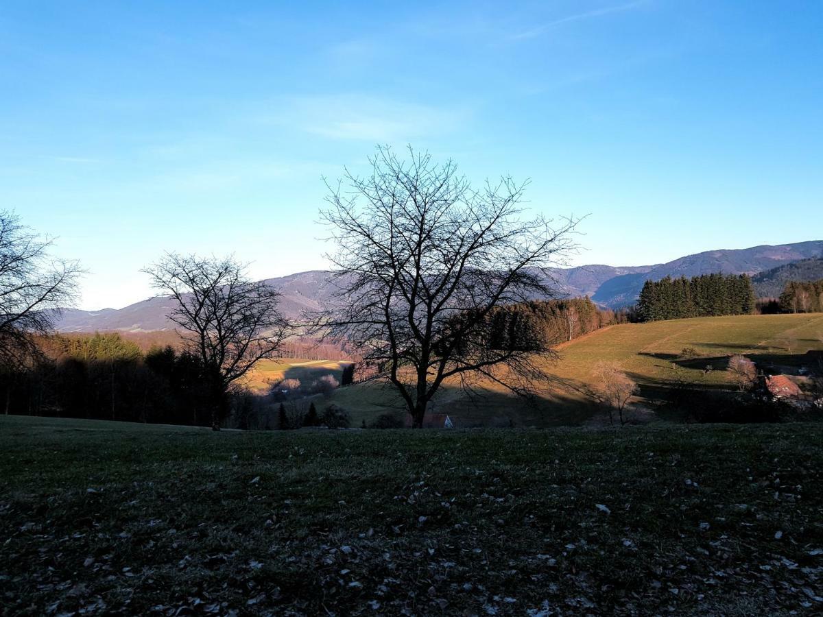 Modernes Appartement Schwarzwald Naehe Freiburg Вінден-ім-Ельцталь Екстер'єр фото