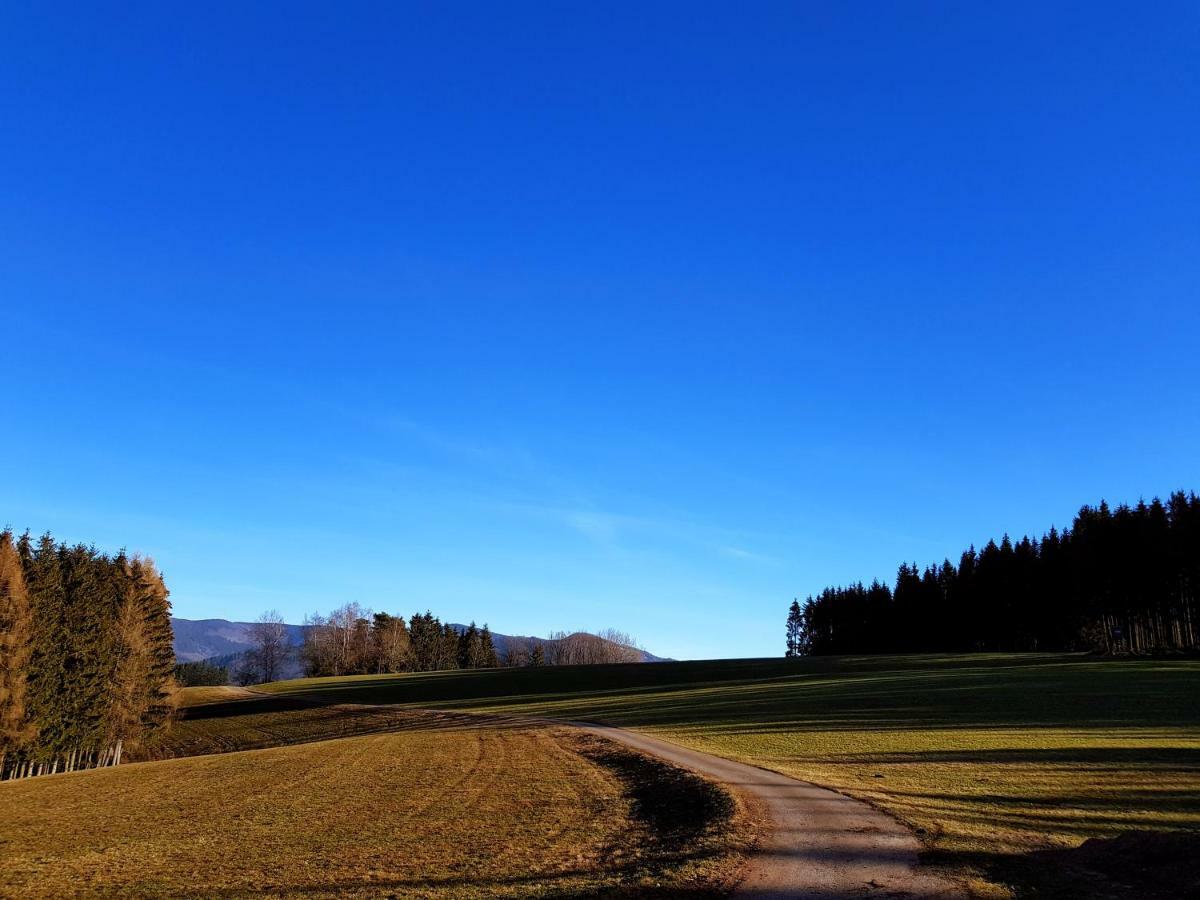 Modernes Appartement Schwarzwald Naehe Freiburg Вінден-ім-Ельцталь Екстер'єр фото